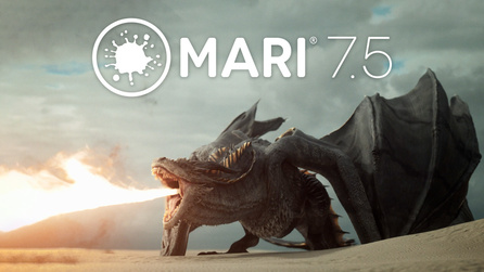 Mari 7.5 Overview