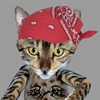 Ryan Drue's avatar