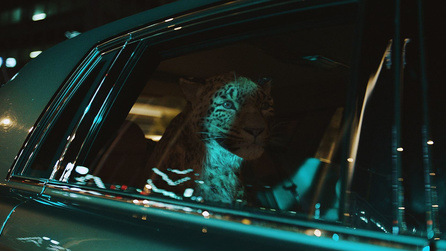 Piotr Borowski Borosz Foundry Community