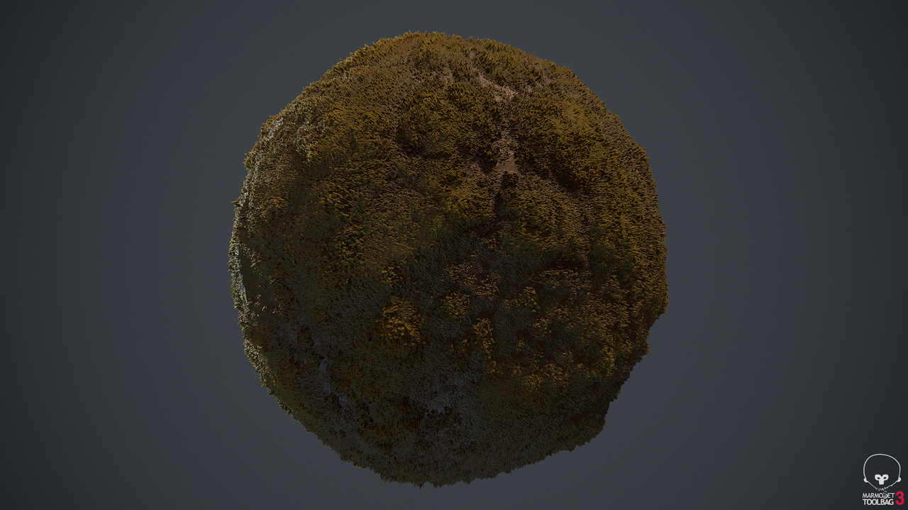 Portfolio Sandbox Foundry Community