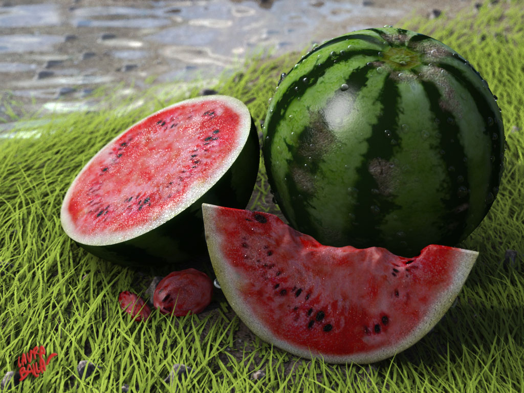 Portfolio Water Melon Foundry Community