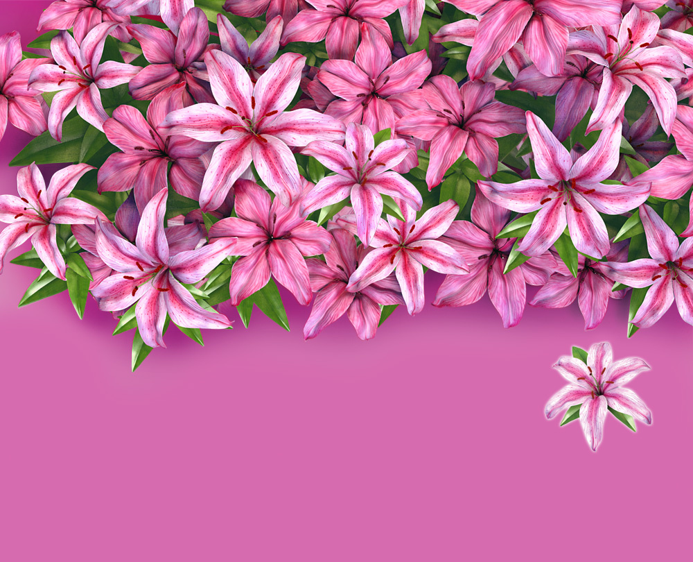 Portfolio Garden Fresh Pine Sol Foundry Community